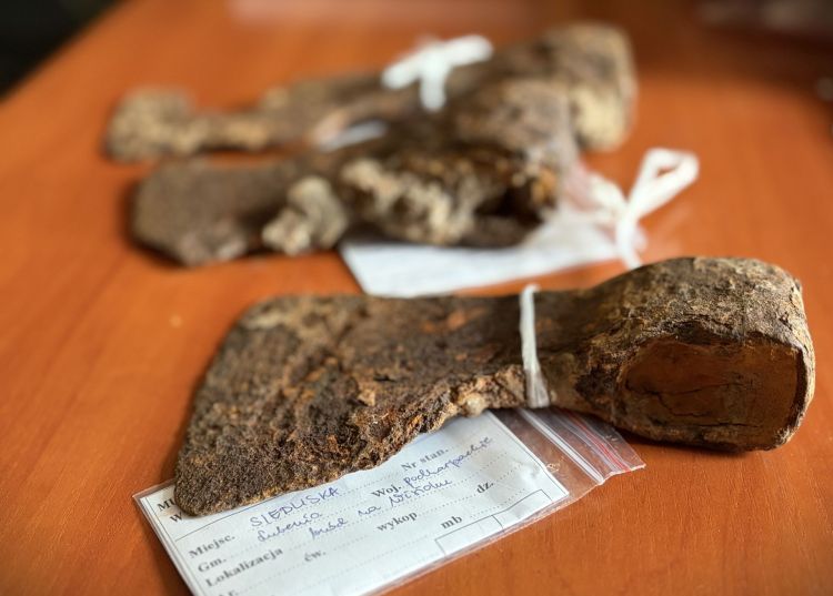 Średniowieczne topory wyłowione z Wisłoka. Unikatowy projekt i badania Muzeum Okręgowego w Rzeszowie 1 - Polskie Radio Rzeszów Średniowieczne topory wyłowione z Wisłoka. Unikatowy projekt i badania Muzeum Okręgowego w Rzeszowie