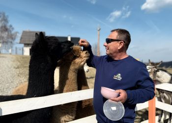 Rozbudowa Mini Zoo w Jaworniku Polskim. Nowe zwierzęta i ambitne plany właściciela 5 - Polskie Radio Rzeszów Rozbudowa Mini Zoo w Jaworniku Polskim. Nowe zwierzęta i ambitne plany właściciela