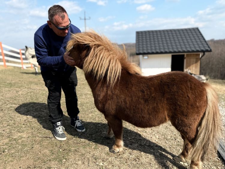 Rozbudowa Mini Zoo w Jaworniku Polskim. Nowe zwierzęta i ambitne plany właściciela - Polskie Radio Rzeszów