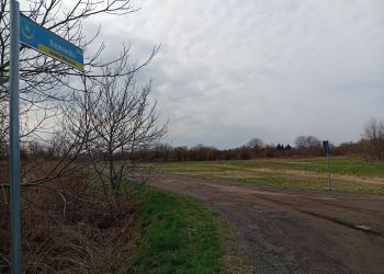 Bezpieczeństwo na ulicy Kajmowskiej w Tarnobrzegu 2 - Polskie Radio Rzeszów Bezpieczeństwo na ulicy Kajmowskiej w Tarnobrzegu