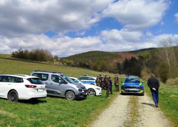 Atak niedźwiedzia w&nbsp;Płonnej. Nie&nbsp;żyje 58-letnia kobieta [AKTUALIZACJA]