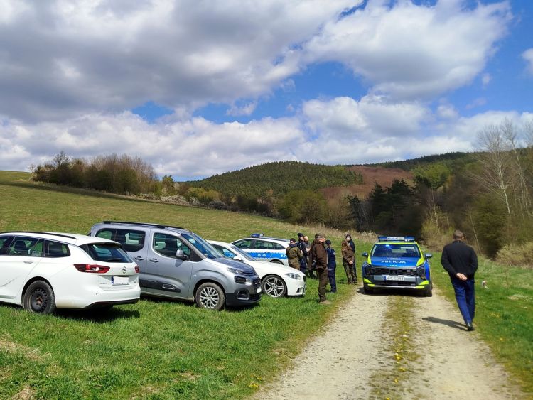 Atak niedźwiedzia w&nbsp;Płonnej. Nie&nbsp;żyje 58-letnia kobieta [AKTUALIZACJA]