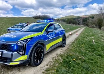 Śmierć kobiety po&nbsp;ataku niedźwiedzia. Prokuratura wszczyna śledztwo