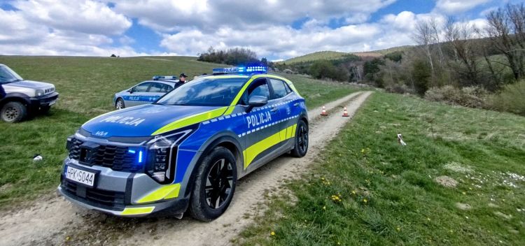 Śmierć kobiety po&nbsp;ataku niedźwiedzia. Prokuratura wszczyna śledztwo