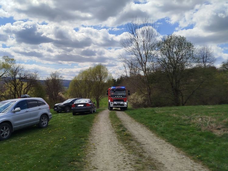 Atak niedźwiedzia w Płonnej. Nie żyje 58-letnia kobieta [AKTUALIZACJA] - Polskie Radio Rzeszów