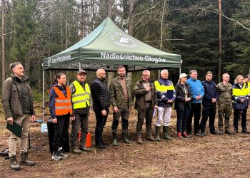 V&nbsp;Otwarte Sadzenie Lasu w&nbsp;Nadleśnictwie Głogów