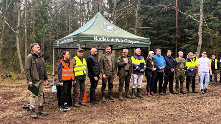 V&nbsp;Otwarte Sadzenie Lasu w&nbsp;Nadleśnictwie Głogów