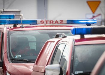 Automatycznie zapisany szkic