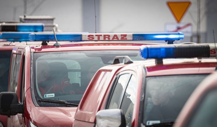 Automatycznie zapisany szkic