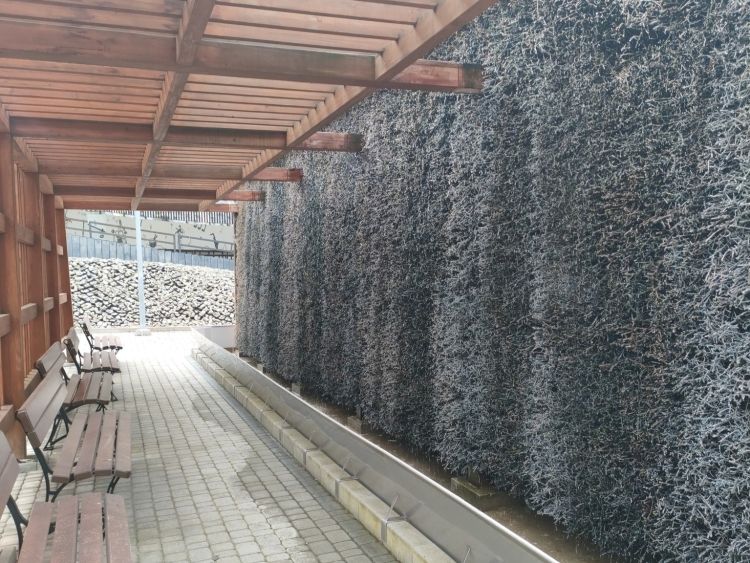 Nowa tężnia solankowa w&nbsp;uzdrowisku Latoszyn-Zdrój