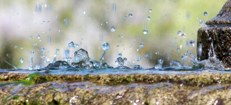 Duże zainteresowanie programem „Mała retencja” w&nbsp;Rzeszowie. 130 gospodarstw z&nbsp;dofinansowaniem