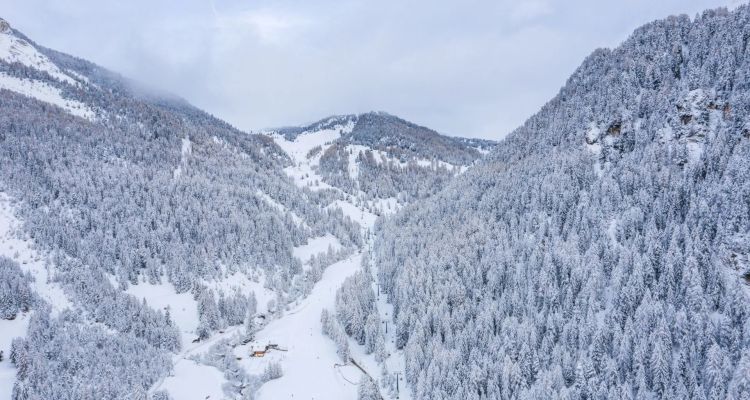 Warunki w Bieszczadach sprzyjają turystyce. Ratownik GOPR: Poranek mroźny, w dzień cieplej 1 - Polskie Radio Rzeszów Warunki w Bieszczadach sprzyjają turystyce. Ratownik GOPR: Poranek mroźny, w dzień cieplej