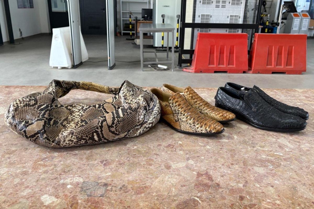 Skóry z egzotycznych zwierząt