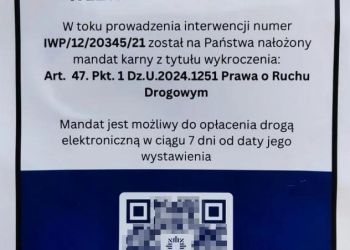 Fałszywe wezwania KAS – ostrzeżenie przed oszustami 2 - Polskie Radio Rzeszów Fałszywe wezwania KAS – ostrzeżenie przed oszustami