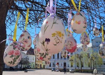 Kolorowa Wielkanoc w&nbsp;Sanoku. Drzewa przystrojone pisankami zachwycają na&nbsp;Rynku [WIDEO]
