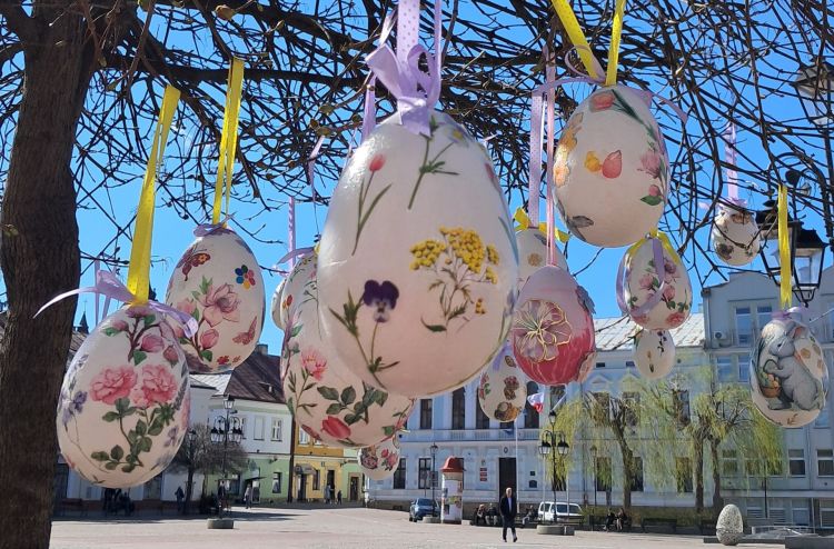 Kolorowa Wielkanoc w&nbsp;Sanoku. Drzewa przystrojone pisankami zachwycają na&nbsp;Rynku [WIDEO]