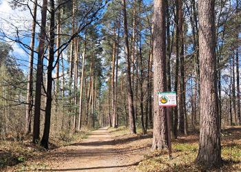 Gdzie na&nbsp;majówkę na&nbsp;Podkarpaciu? Leśne ścieżki i&nbsp;miejsca warte odwiedzenia