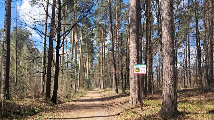 Gdzie na&nbsp;majówkę na&nbsp;Podkarpaciu? Leśne ścieżki i&nbsp;miejsca warte odwiedzenia