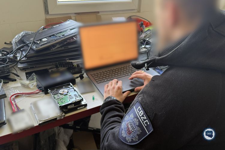Ponad 330 tys. plików z&nbsp;wykorzystaniem małoletnich. Policja uderzyła w&nbsp;pedofilów