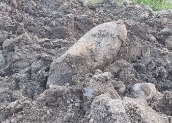 Bomba lotnicza na&nbsp;torze motocrossowym w&nbsp;Rzeszowie. Niewybuch z&nbsp;czasów wojny