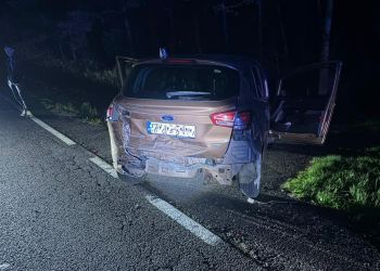 Pijany kierowca bez prawa jazdy doprowadził do zderzenia w Gorzycach. Uciekł do lasu 6 - Polskie Radio Rzeszów Pijany kierowca bez prawa jazdy doprowadził do zderzenia w Gorzycach. Uciekł do lasu