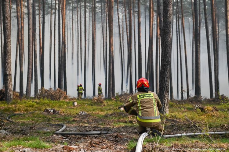 16 zastępów straży z&nbsp;Podkarpacia skierowanych do&nbsp;pożaru w&nbsp;powiecie biłgorajskim