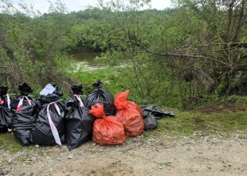 Nielegalne odpady zwierzęce na&nbsp;terenie Przychojca i&nbsp;Starego Miasta w&nbsp;Gminie Leżajsk