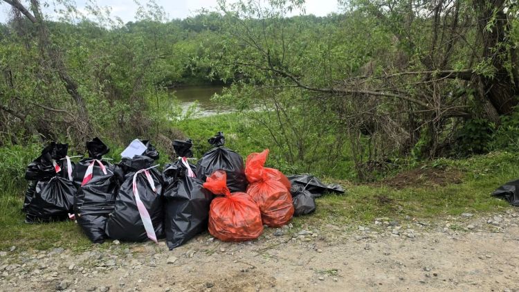 Nielegalne odpady zwierzęce na&nbsp;terenie Przychojca i&nbsp;Starego Miasta w&nbsp;Gminie Leżajsk