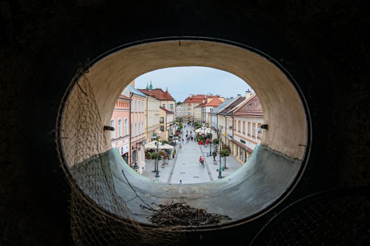 Dotacje na&nbsp;remont i&nbsp;konserwację zabytkowych obiektów w&nbsp;Rzeszowie