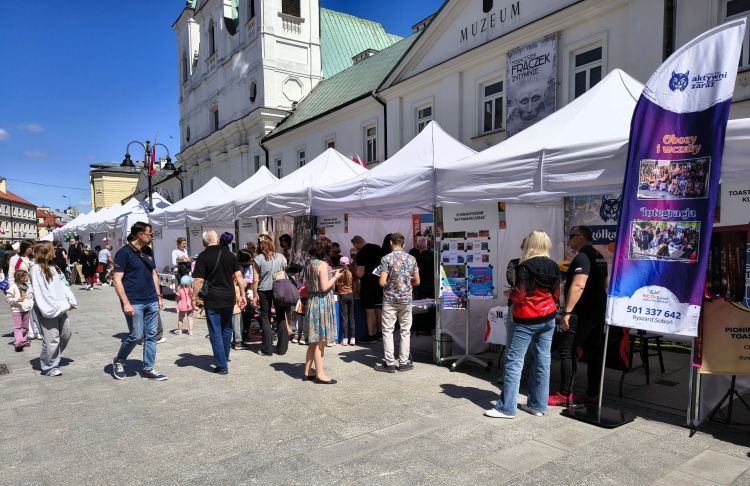 Targi NGO w&nbsp;Rzeszowie. Organizacje zaprezentowały swoją działalność