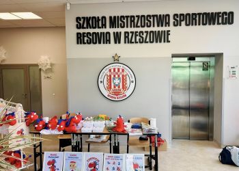 Pomagają dzieciom podczas Imienin Resovii. Fundacja „Spokojny Kącik” prowadzi kwestę