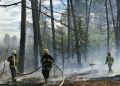 Trwa dogaszanie pożaru lasu w&nbsp;Starym Dzikowie. Pożar objął od&nbsp;8 do&nbsp;10 hektarów