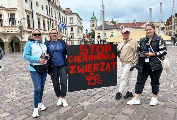 „Mamy dość! Stop cierpieniu zwierząt w&nbsp;Polsce”. Protest na&nbsp;Rzeszowskim Rynku
