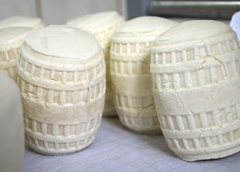 Kozy na&nbsp;dawnym Podkarpaciu – mleko, sery i&nbsp;codzienne życie w&nbsp;Galicji