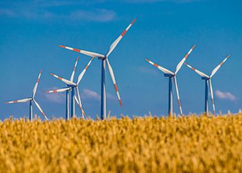 Energia wiatrowa – jej zalety i&nbsp;wady. Dlaczego przyjmuje różne kierunki?
