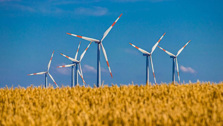 Energia wiatrowa – jej zalety i wady. Dlaczego przyjmuje różne kierunki? 1 - Polskie Radio Rzeszów Energia wiatrowa – jej zalety i wady. Dlaczego przyjmuje różne kierunki?