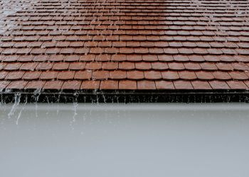 Nawet 8 tys. zł na&nbsp;instalacje do&nbsp;zbierania deszczówki. Trwa nabór wniosków