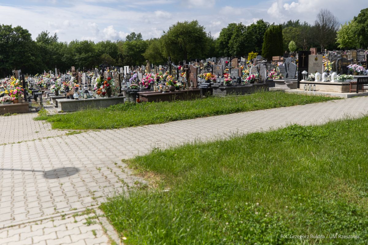 Nowe alejki na cmentarzu komunalnym przy ul. Świętokrzyskiej w Rzeszowie - Polskie Radio Rzeszów