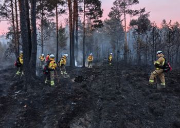 Podkarpaccy strażacy wracają z&nbsp;Mazowsza po&nbsp;walce z&nbsp;pożarem lasów