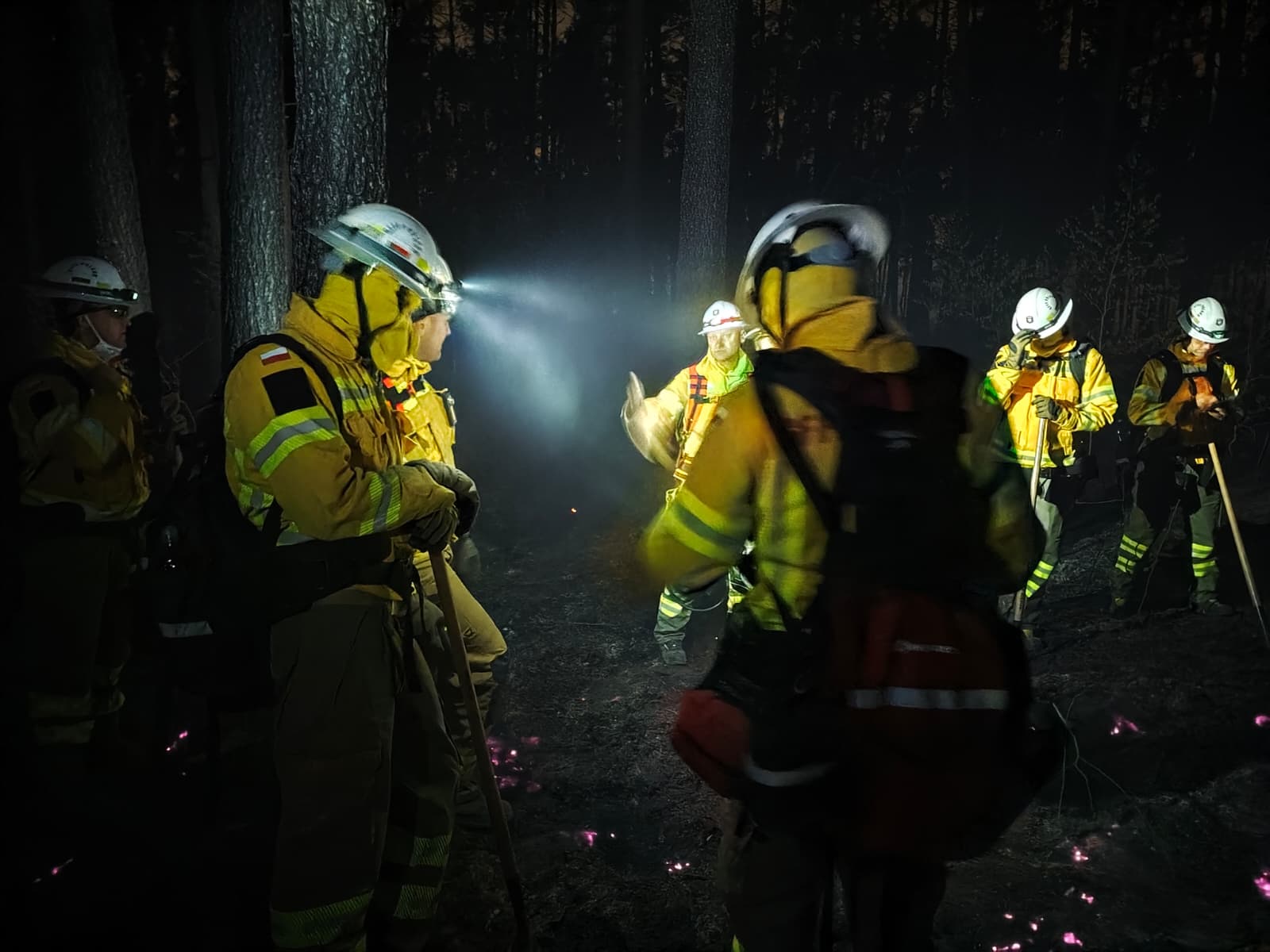 Podkarpaccy strażacy wracają z Mazowsza po walce z pożarem lasów 2 - Polskie Radio Rzeszów Podkarpaccy strażacy wracają z Mazowsza po walce z pożarem lasów - Polskie Radio Rzeszów