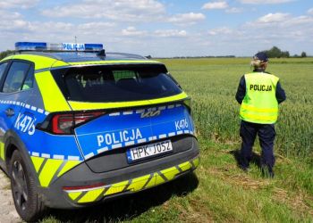 Policjanci odnaleźli zaginionego 69-latka. Leżał nieprzytomny w&nbsp;polu pszenicy