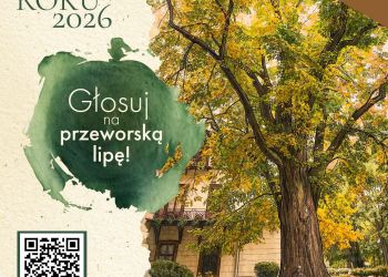 Podkarpacki reprezentant w Konkursie na Drzewo Roku 2026 - Lipa z Przeworska 2 - Polskie Radio Rzeszów Podkarpacki reprezentant w Konkursie na Drzewo Roku 2026 – Lipa z Przeworska
