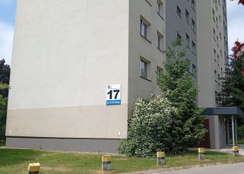 Szczury w&nbsp;bloku w&nbsp;Tarnobrzegu. Problem zgłosili mieszkańcy