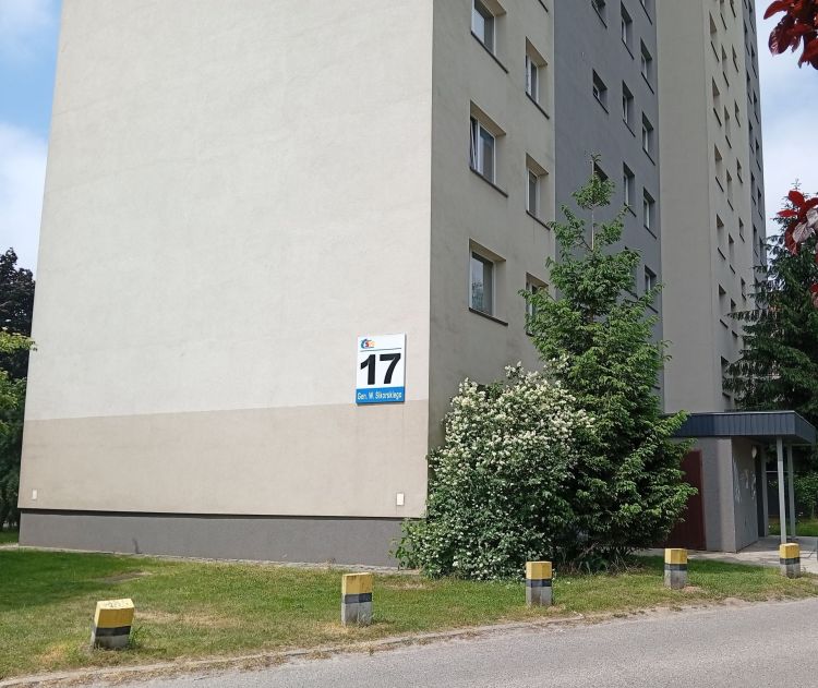Szczury w&nbsp;bloku w&nbsp;Tarnobrzegu. Problem zgłosili mieszkańcy