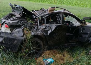 Zderzenie samochodów w&nbsp;Białobokach. BMW wypadło z&nbsp;drogi i&nbsp;uderzyło w&nbsp;drzewo