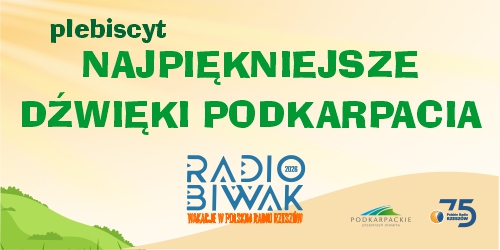 Plebiscyt NAJPIĘKNIEJSZE DŹWIĘKI PODKARPACIA