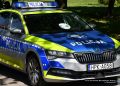 26-latek zdewastował zieleń przed&nbsp;komendą w&nbsp;Stalowej Woli