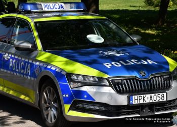 26-latek zdewastował zieleń przed&nbsp;komendą w&nbsp;Stalowej Woli