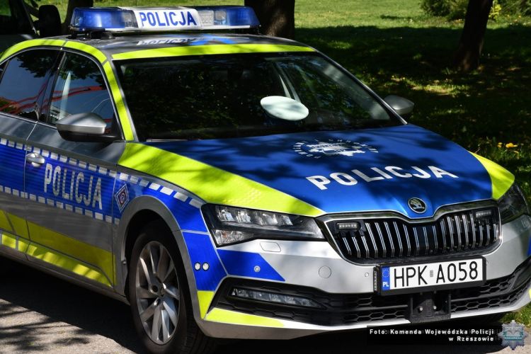 26-latek zdewastował zieleń przed komendą w Stalowej Woli 1 - Polskie Radio Rzeszów 26-latek zdewastował zieleń przed komendą w Stalowej Woli