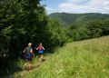 Bieg Dwernik Kamień Trail połączy sport z pomocą dla chorego chłopca 5 - Polskie Radio Rzeszów Bieg Dwernik Kamień Trail połączy sport z pomocą dla chorego chłopca